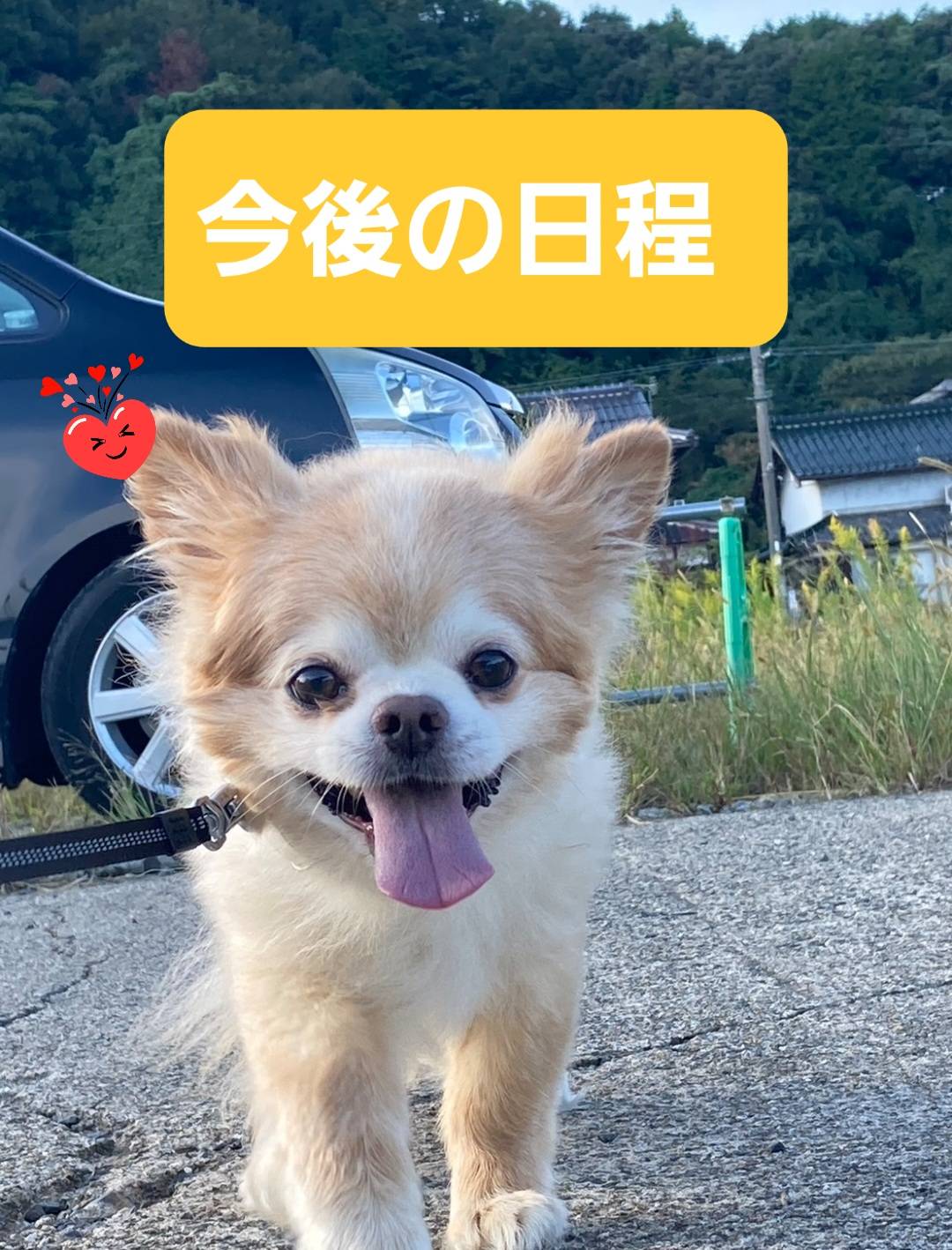 最新釣果情報