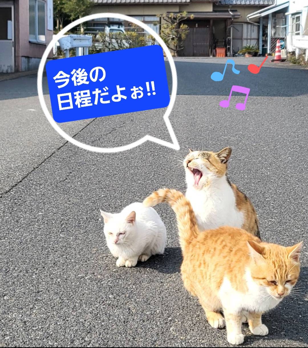 最新釣果情報