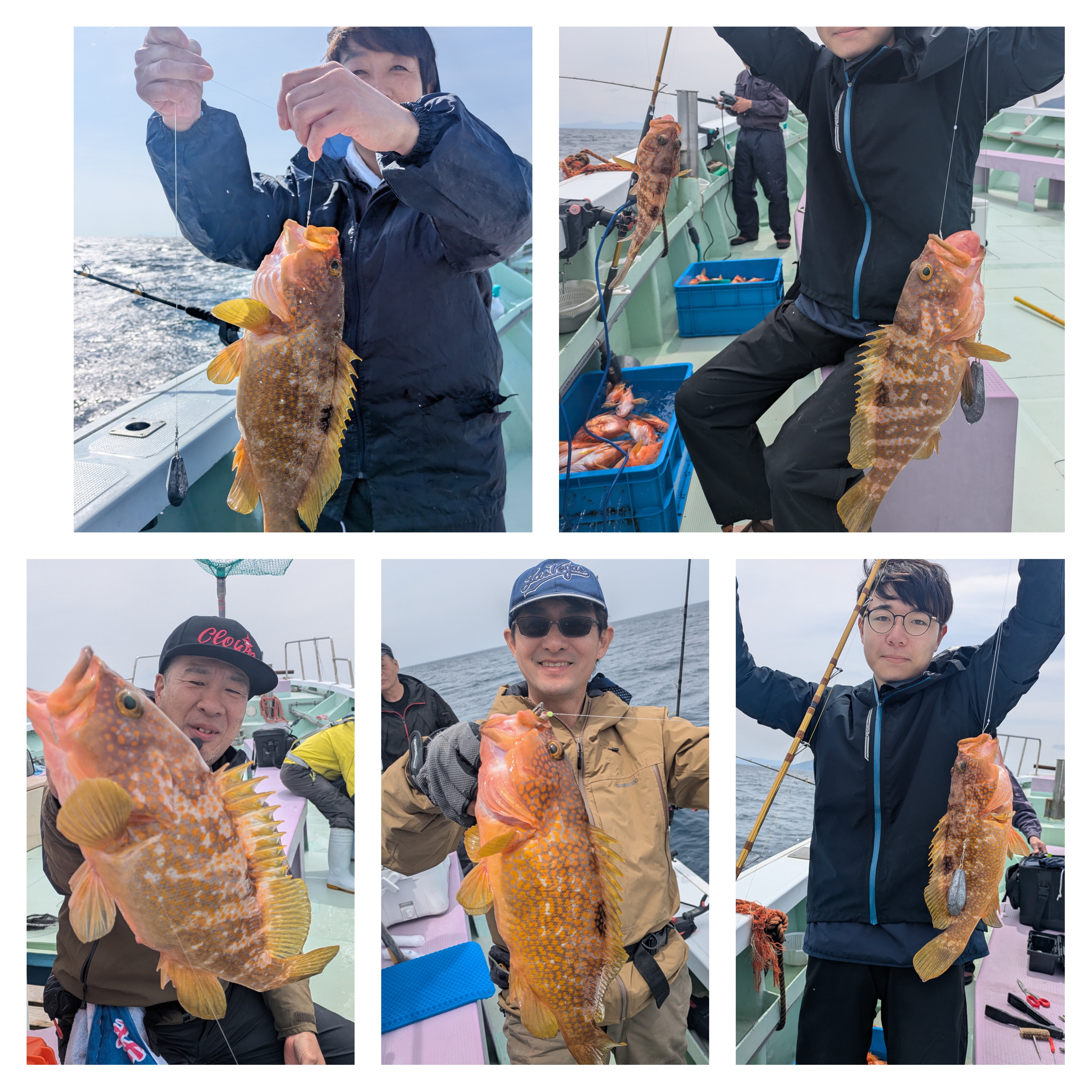 最新釣果情報
