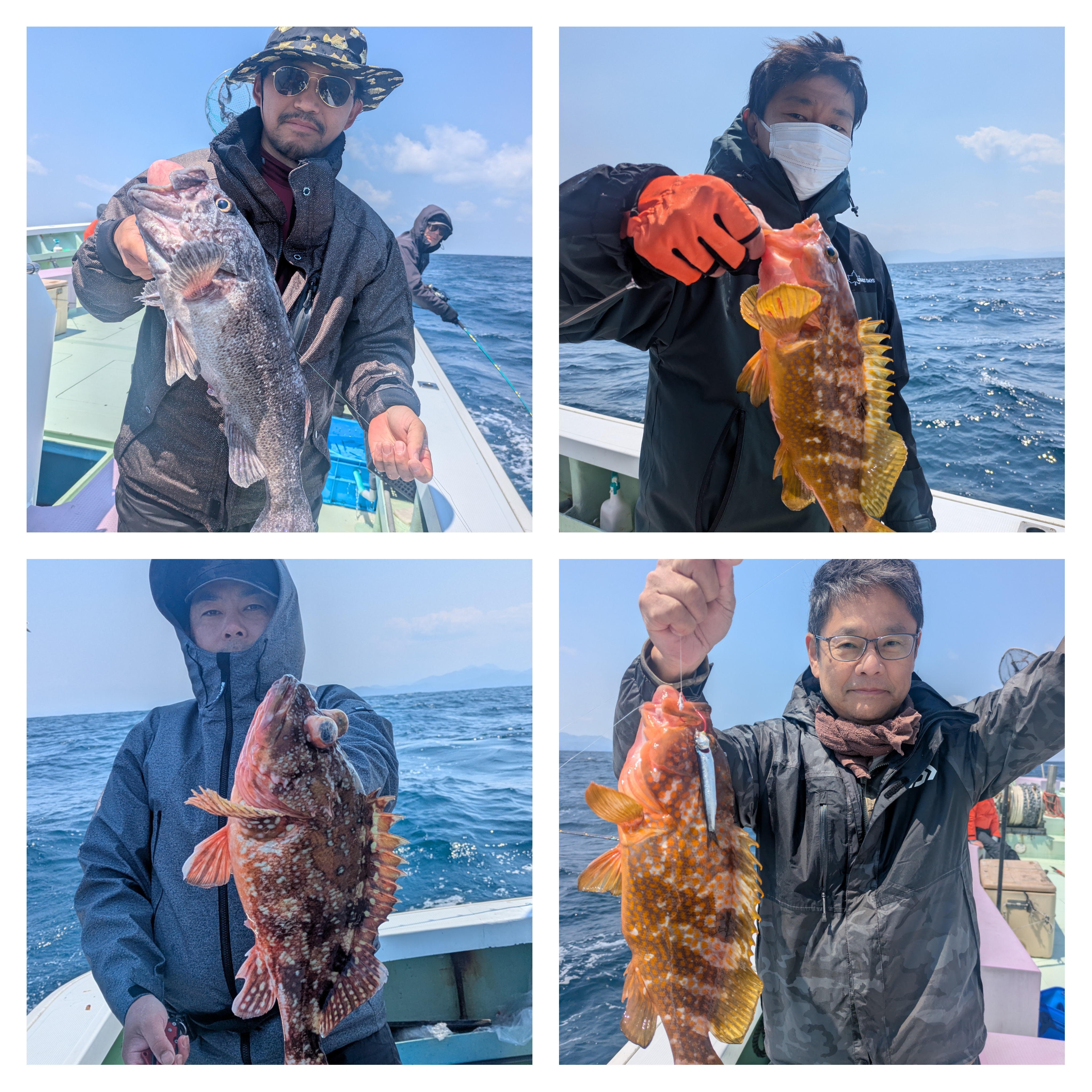 最新釣果情報