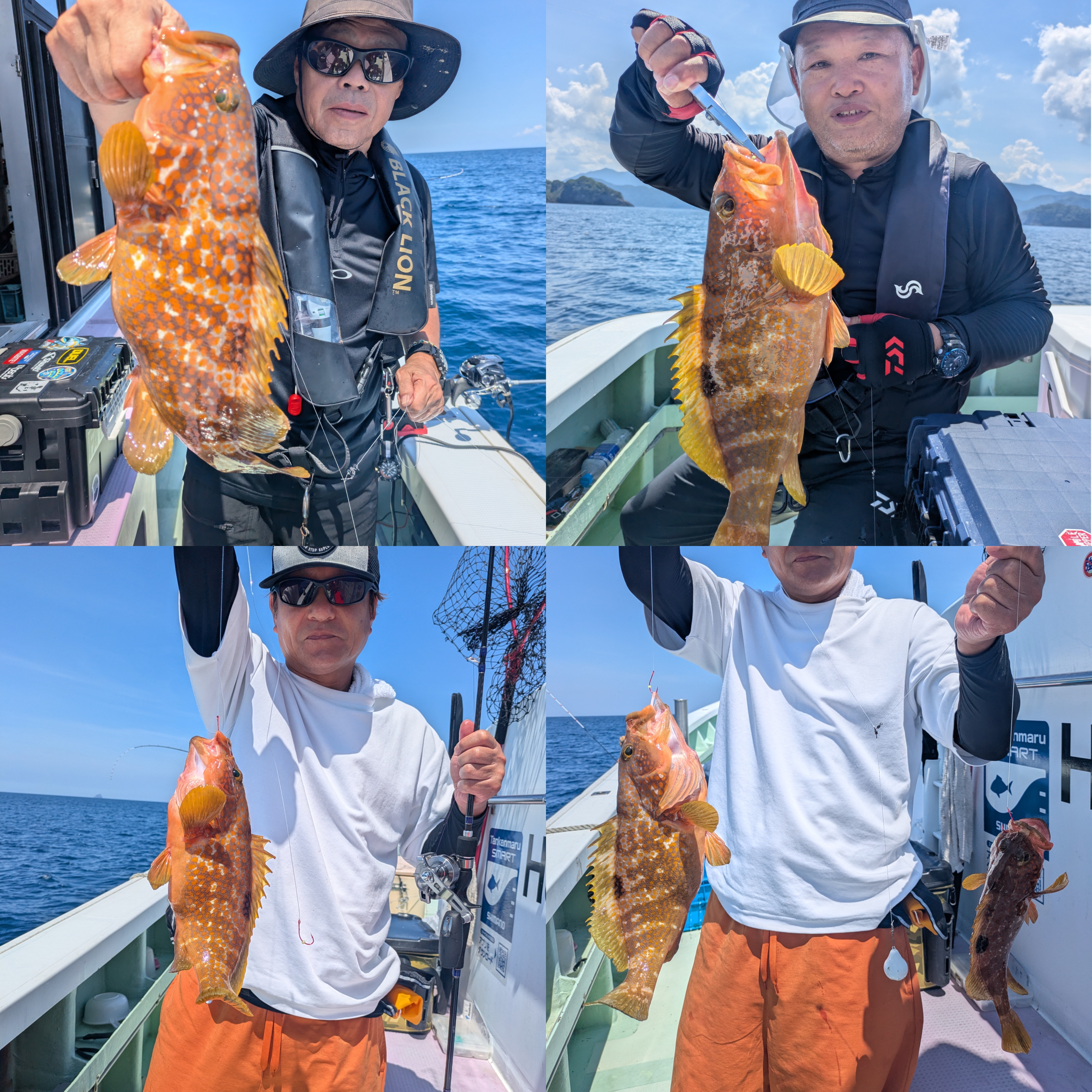 最新釣果情報