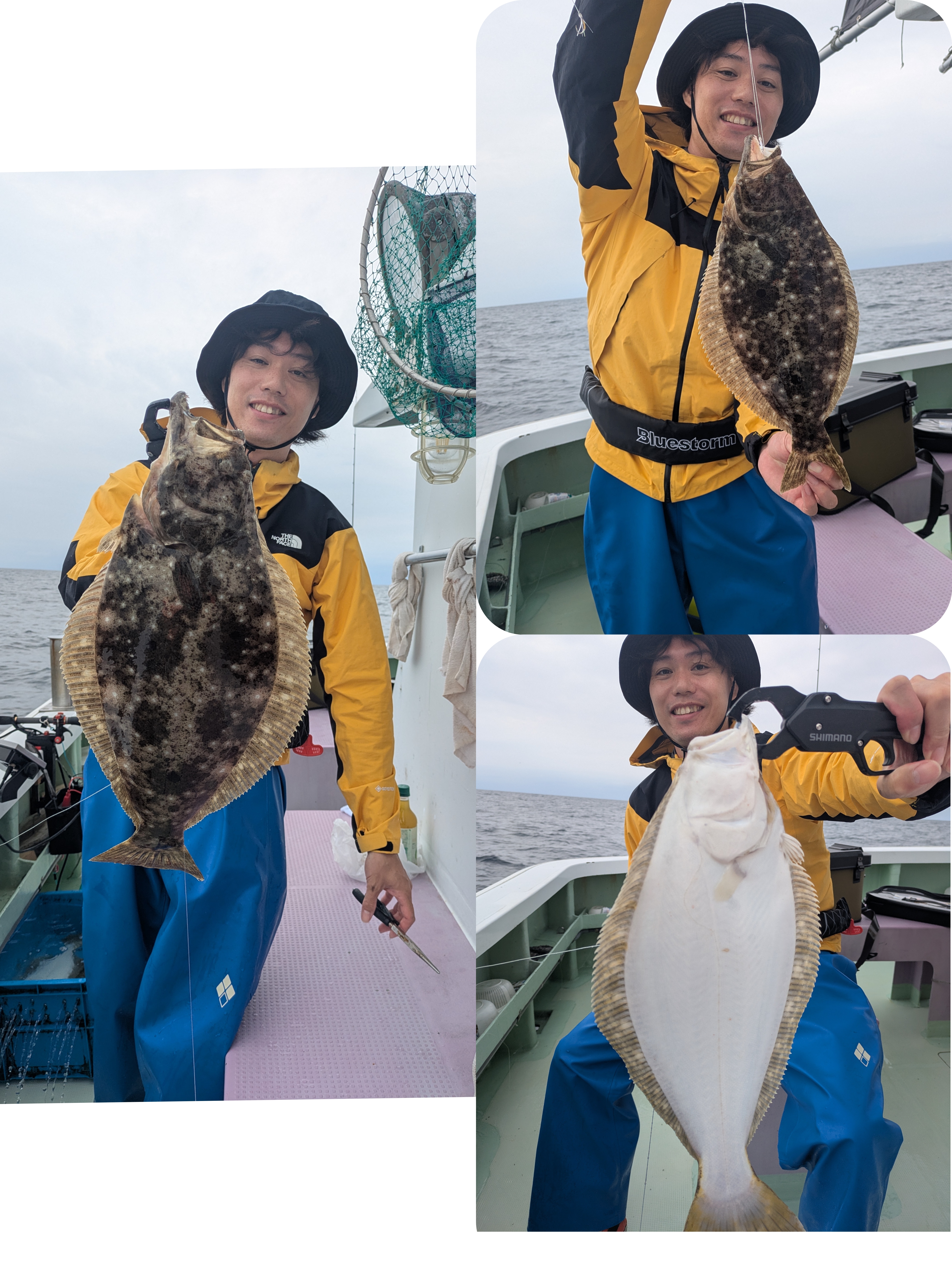 最新釣果情報