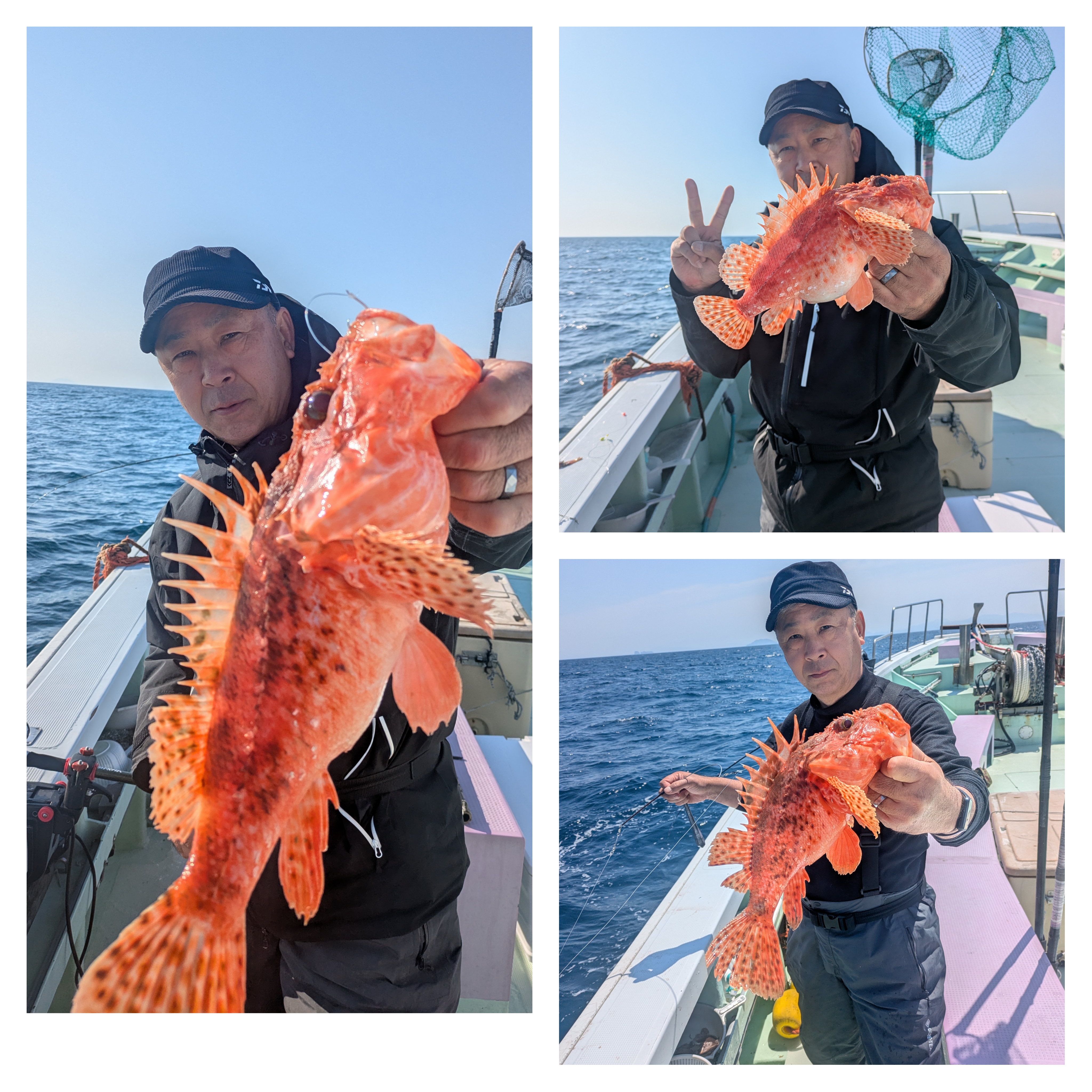 最新釣果情報