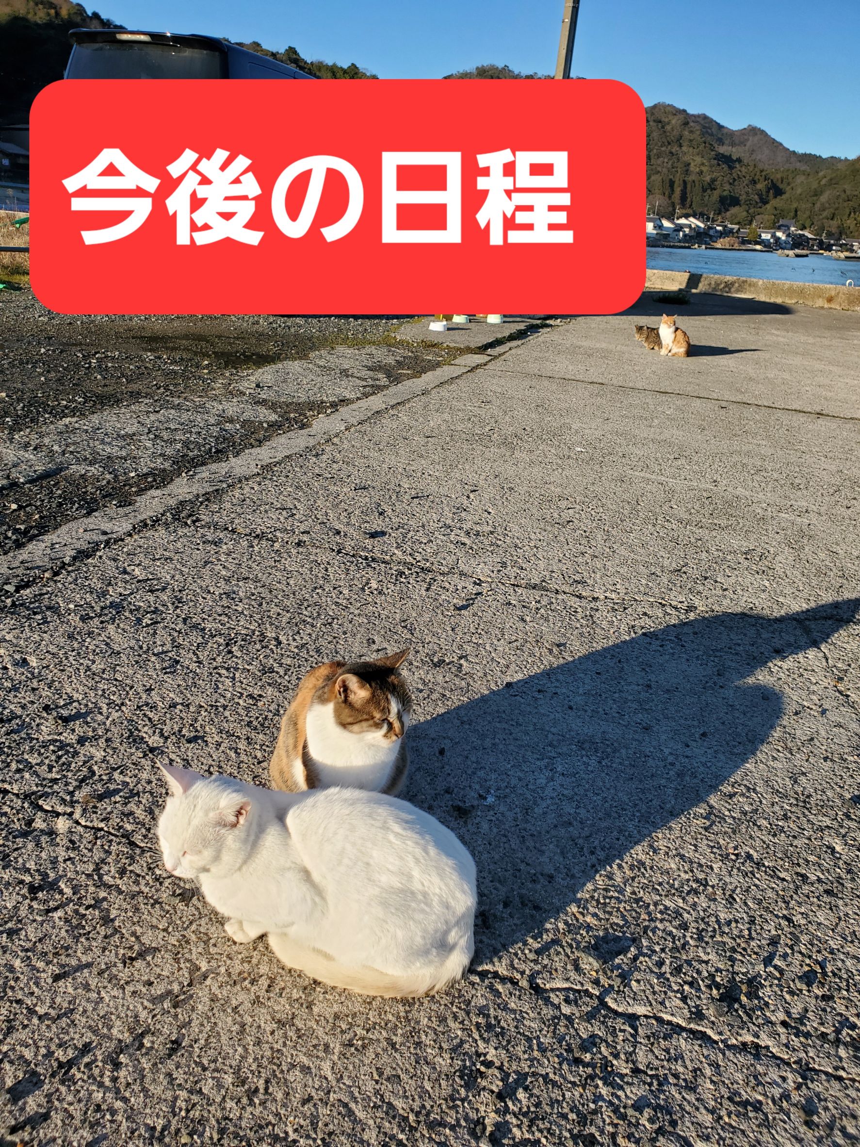 最新釣果情報