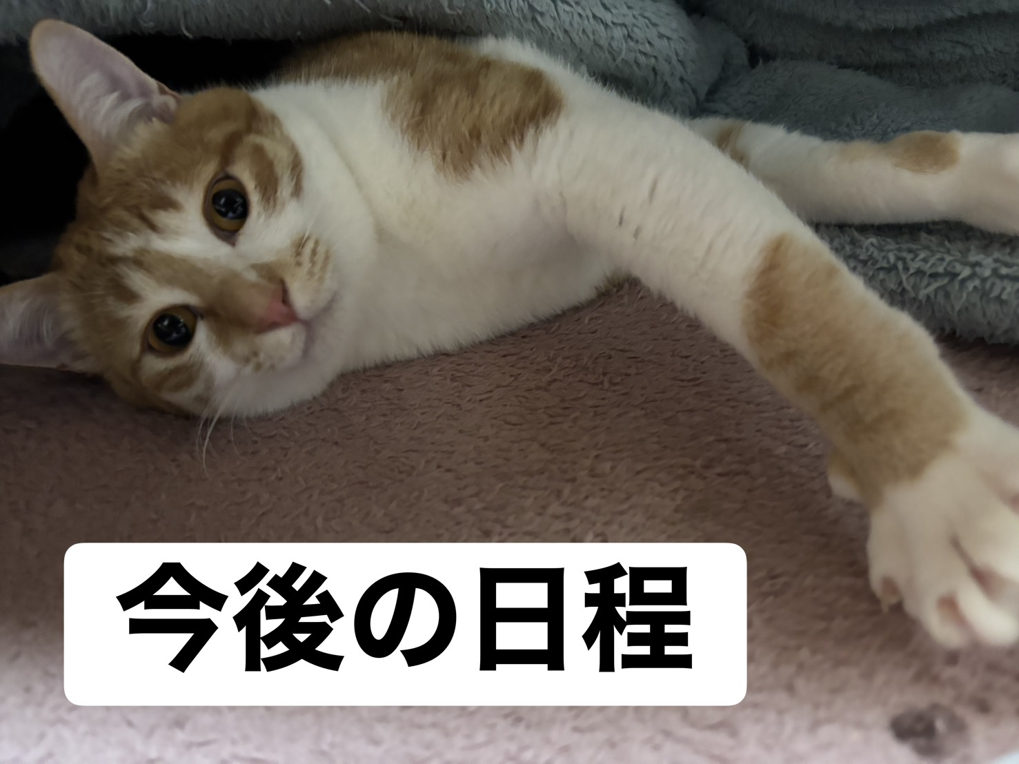 最新釣果情報