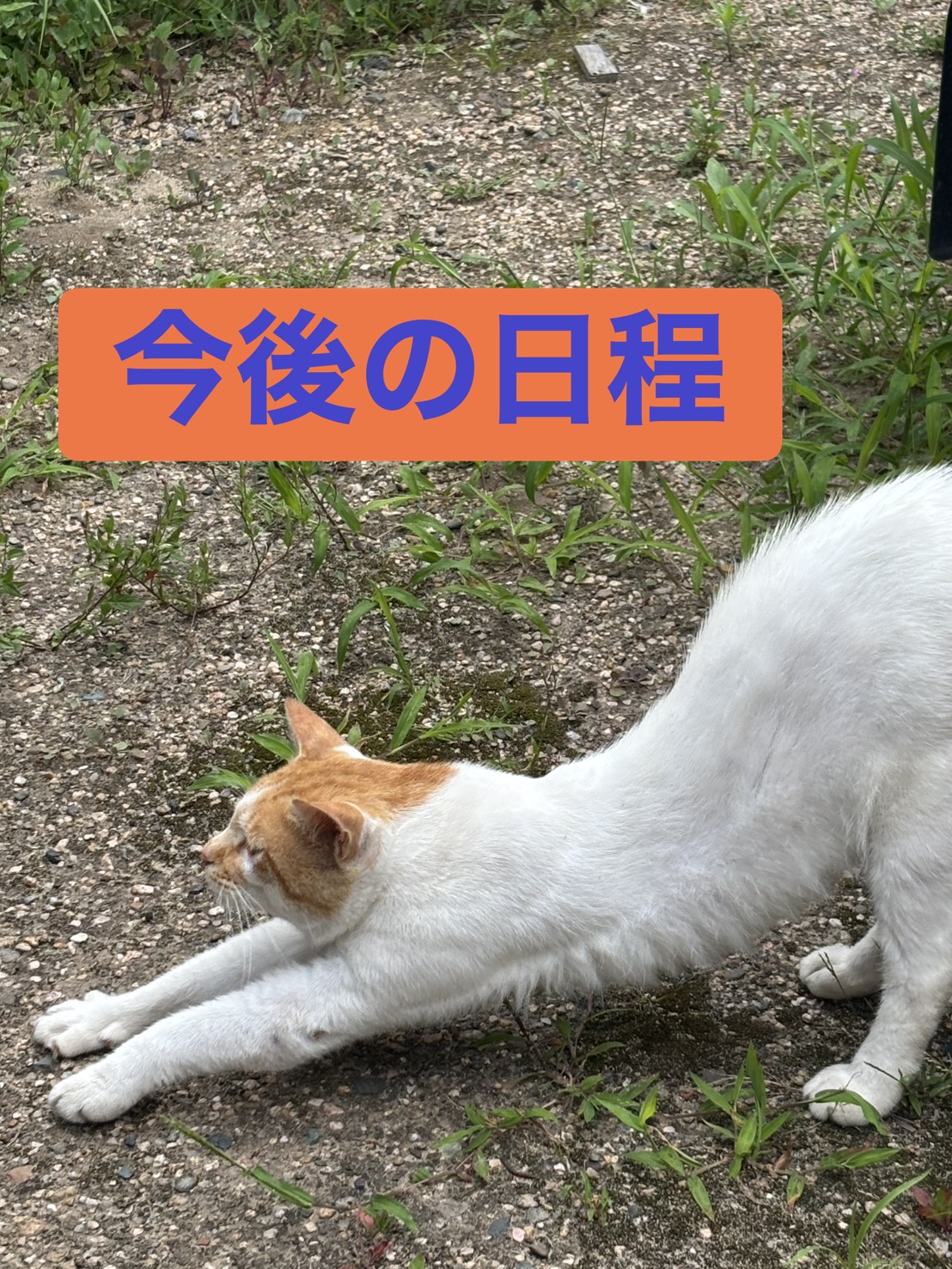 最新釣果情報