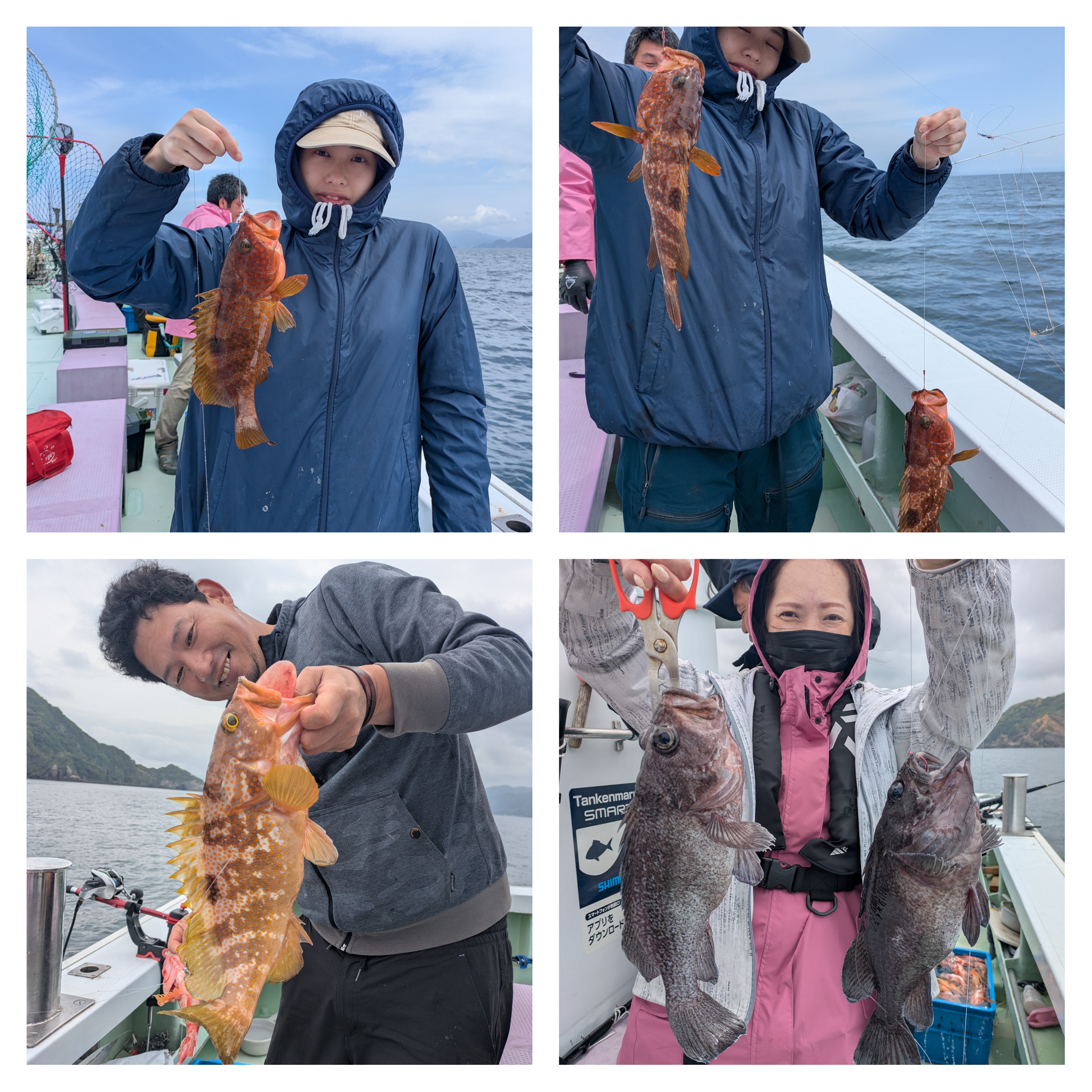 最新釣果情報
