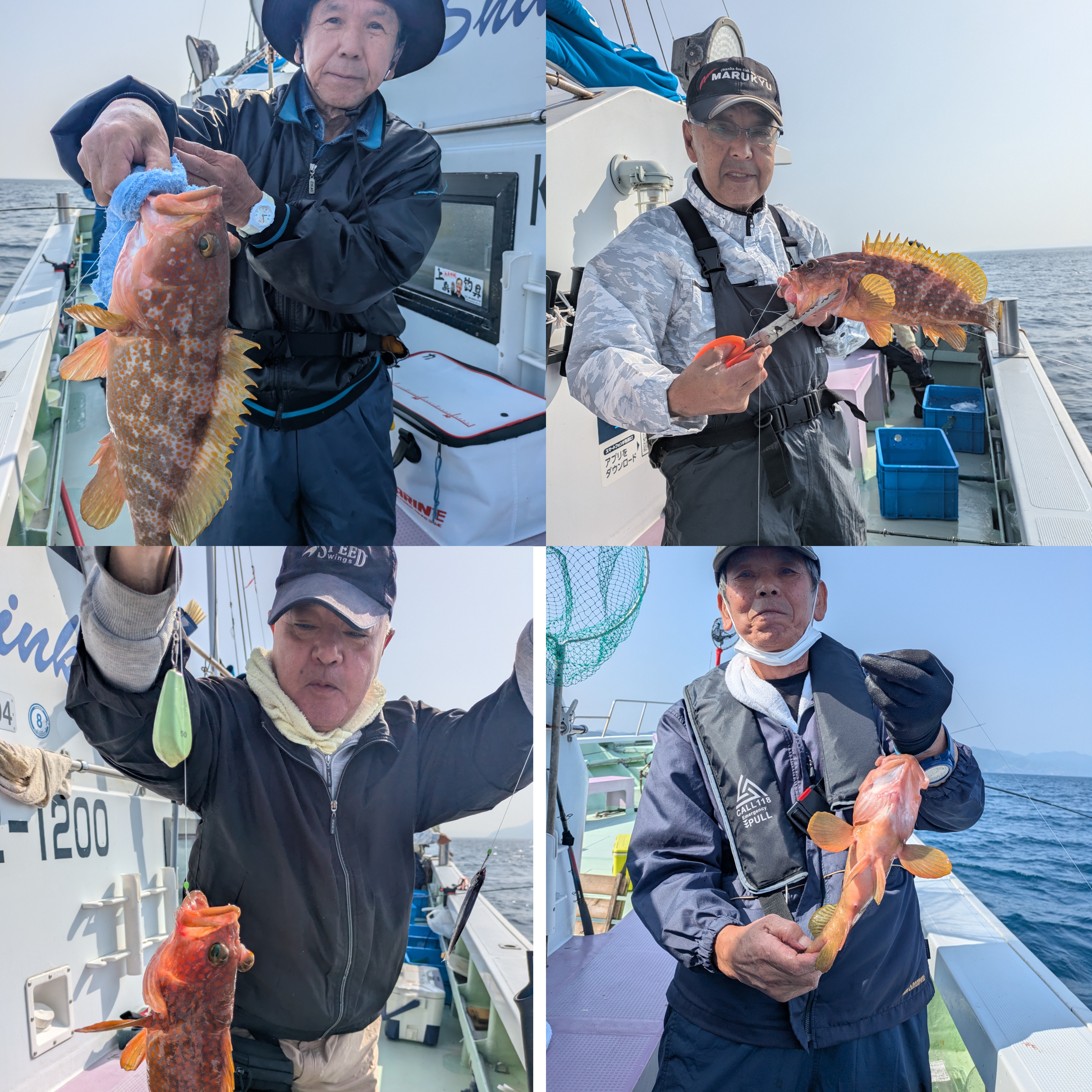 最新釣果情報
