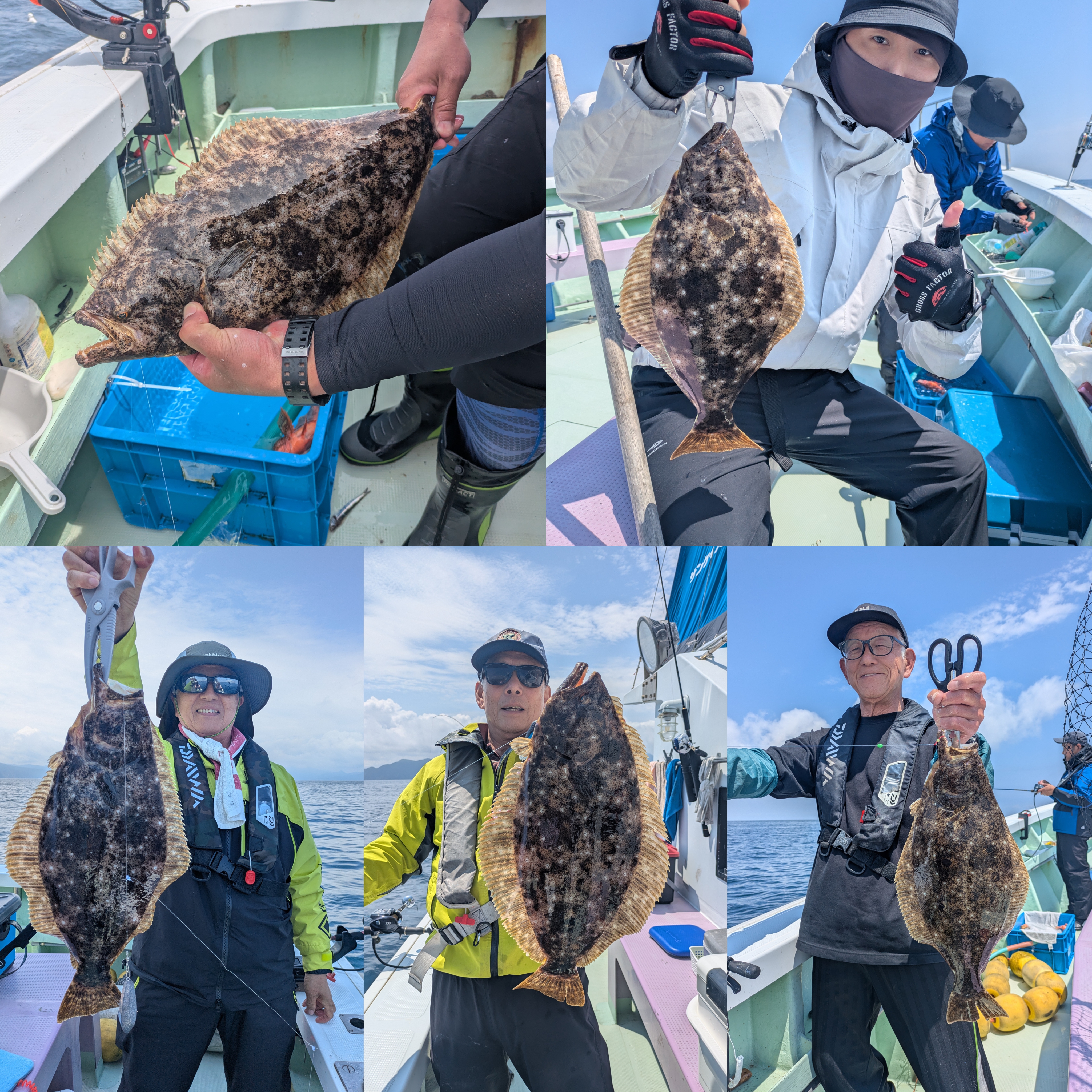 最新釣果情報