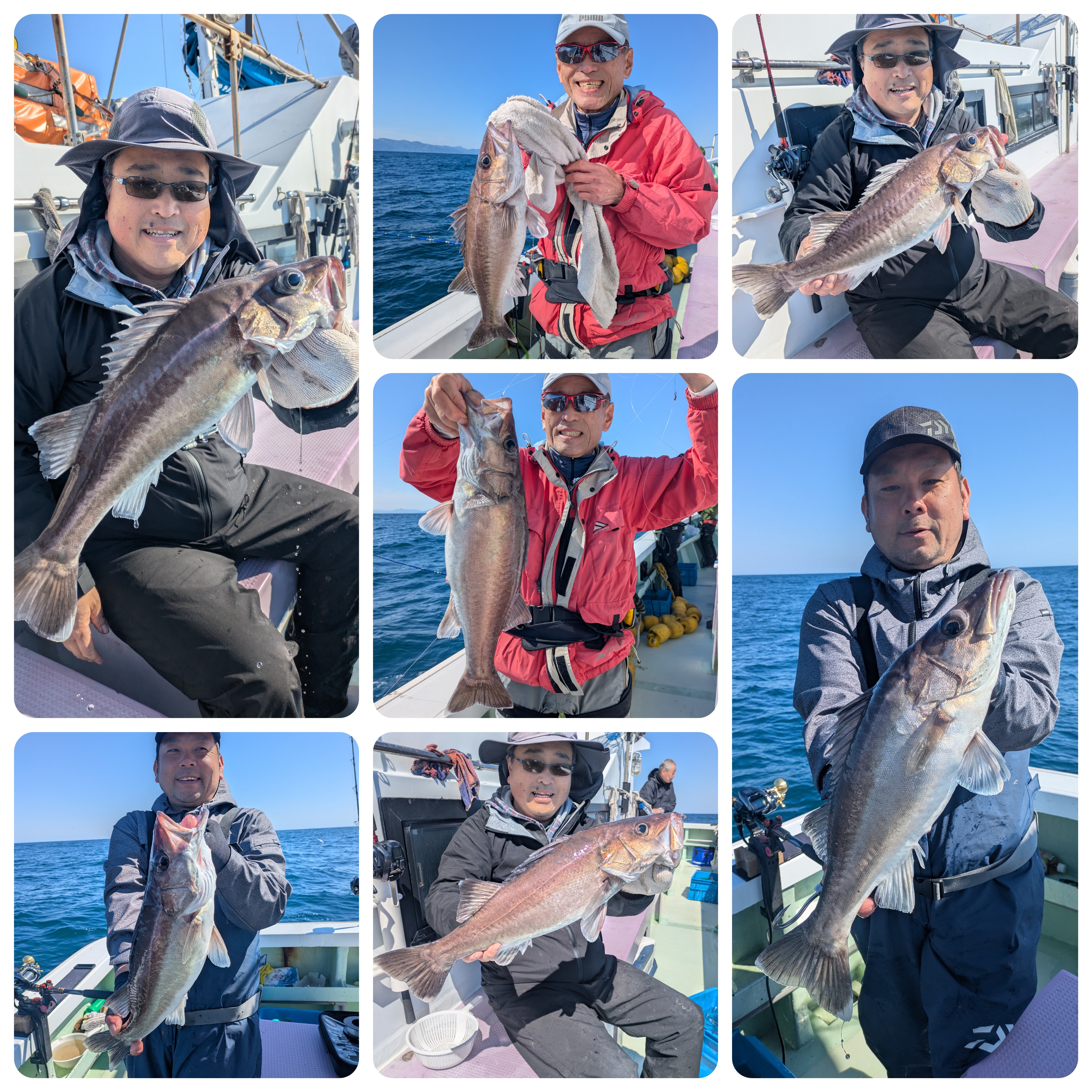 最新釣果情報