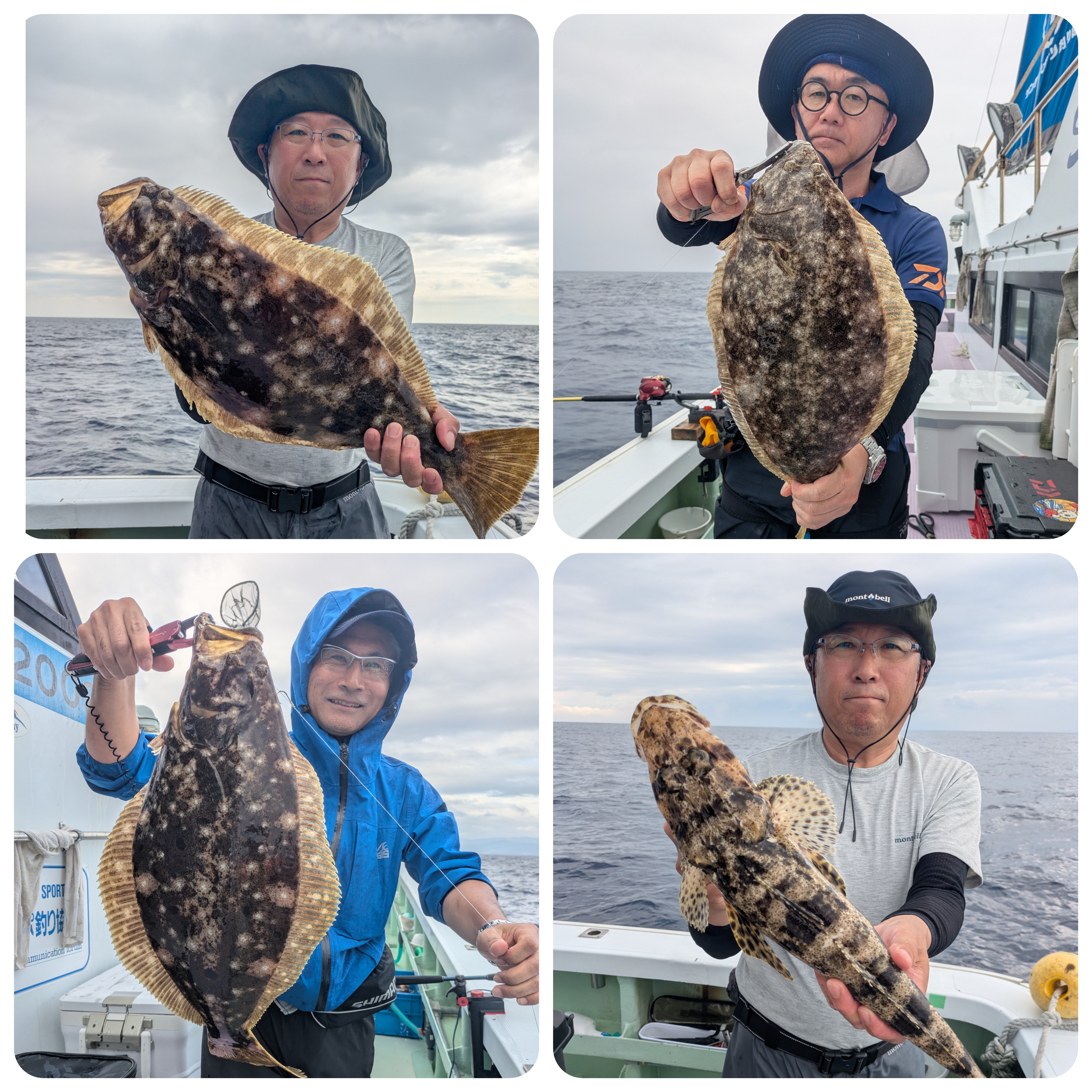 最新釣果情報