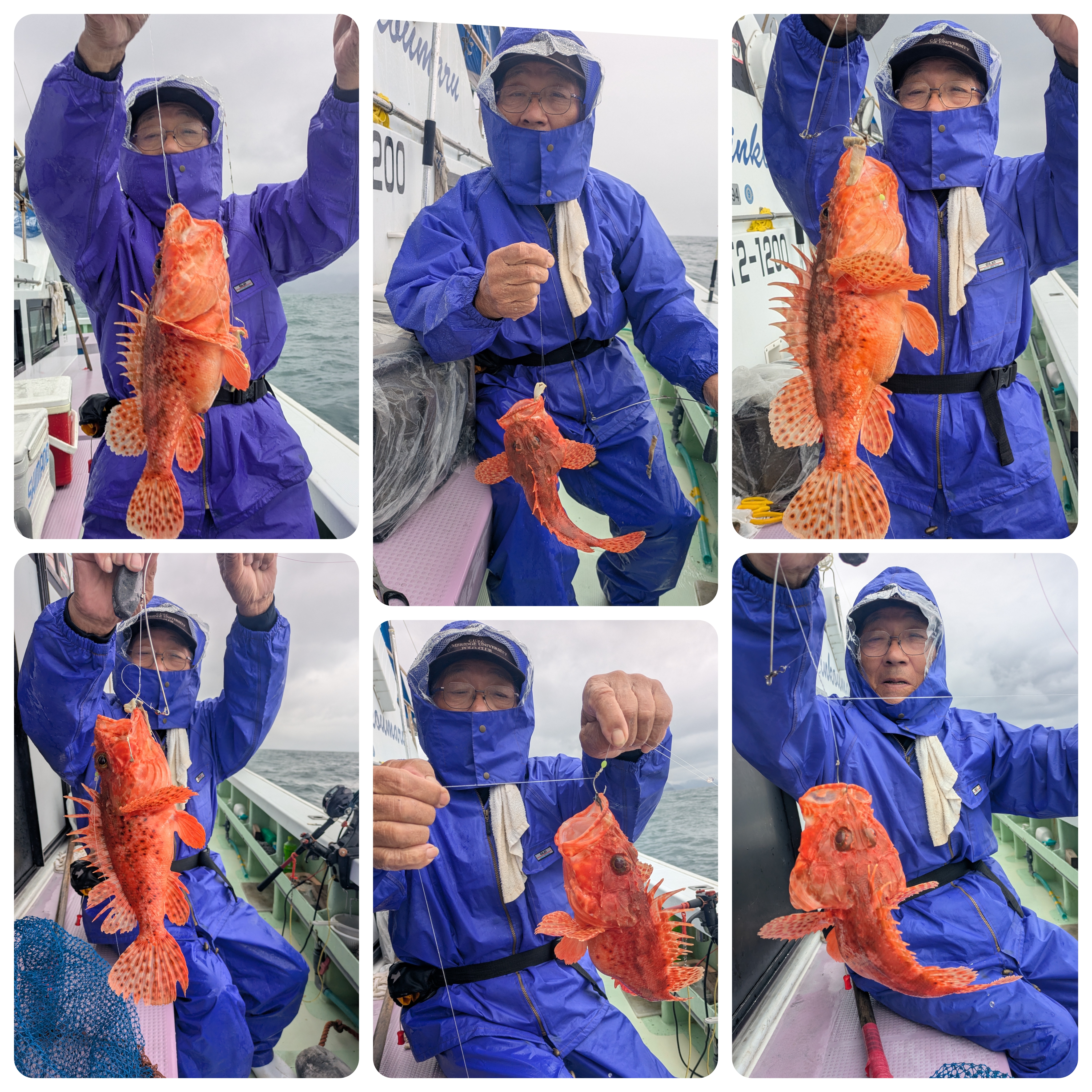 最新釣果情報