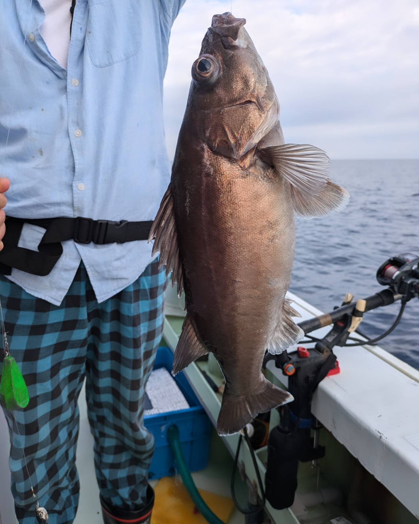 最新釣果情報