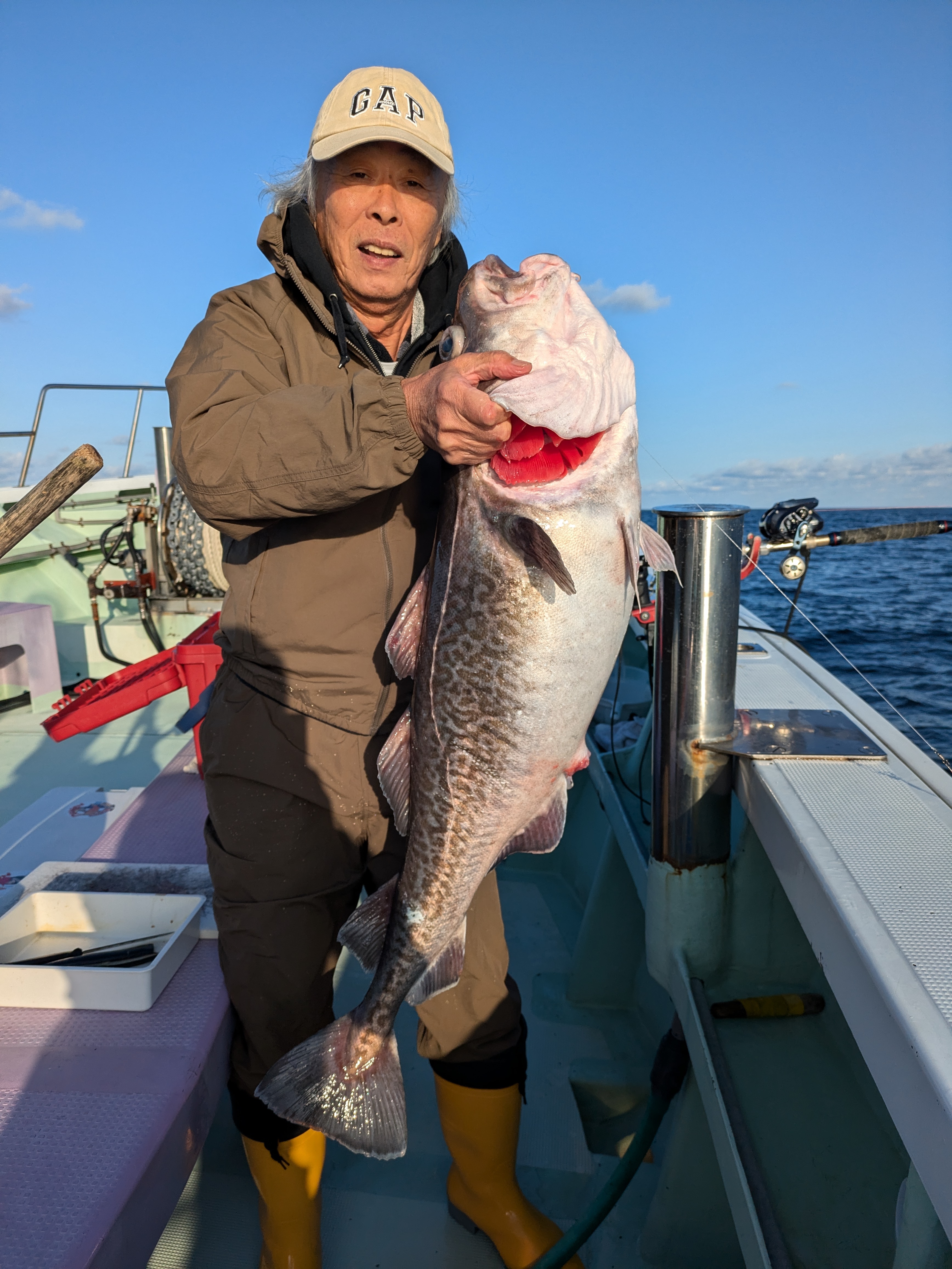 最新釣果情報