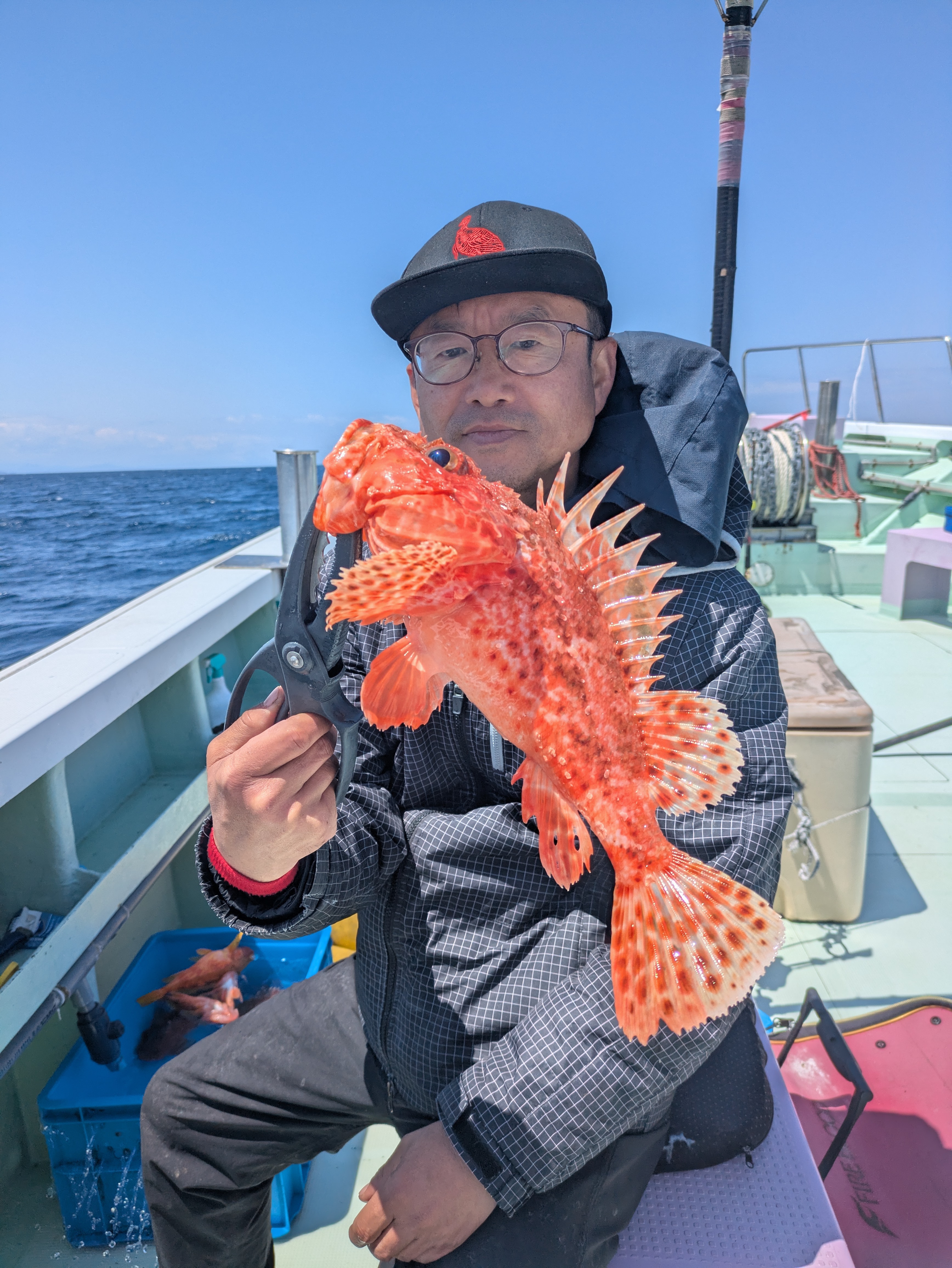 最新釣果情報