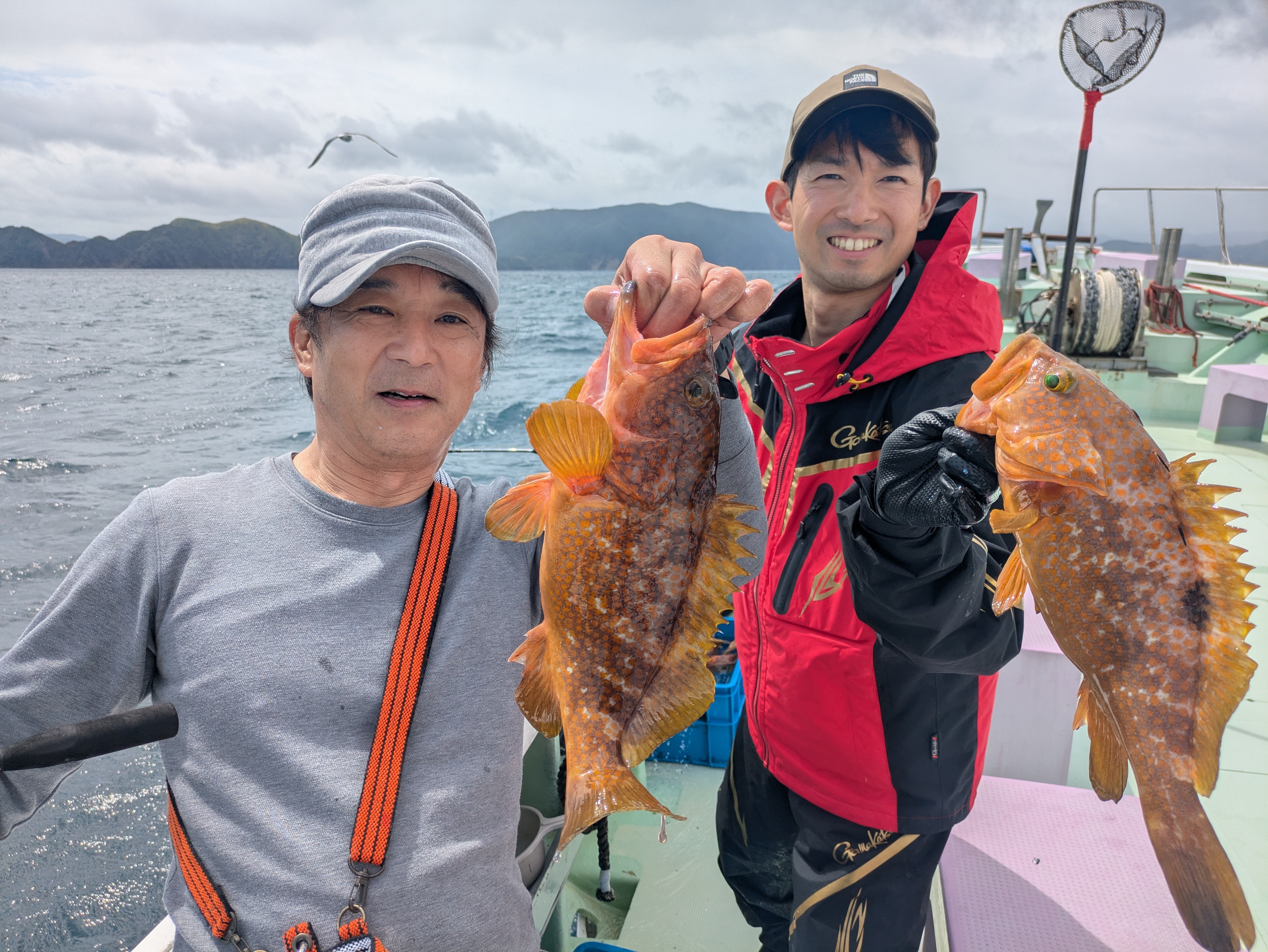 最新釣果情報
