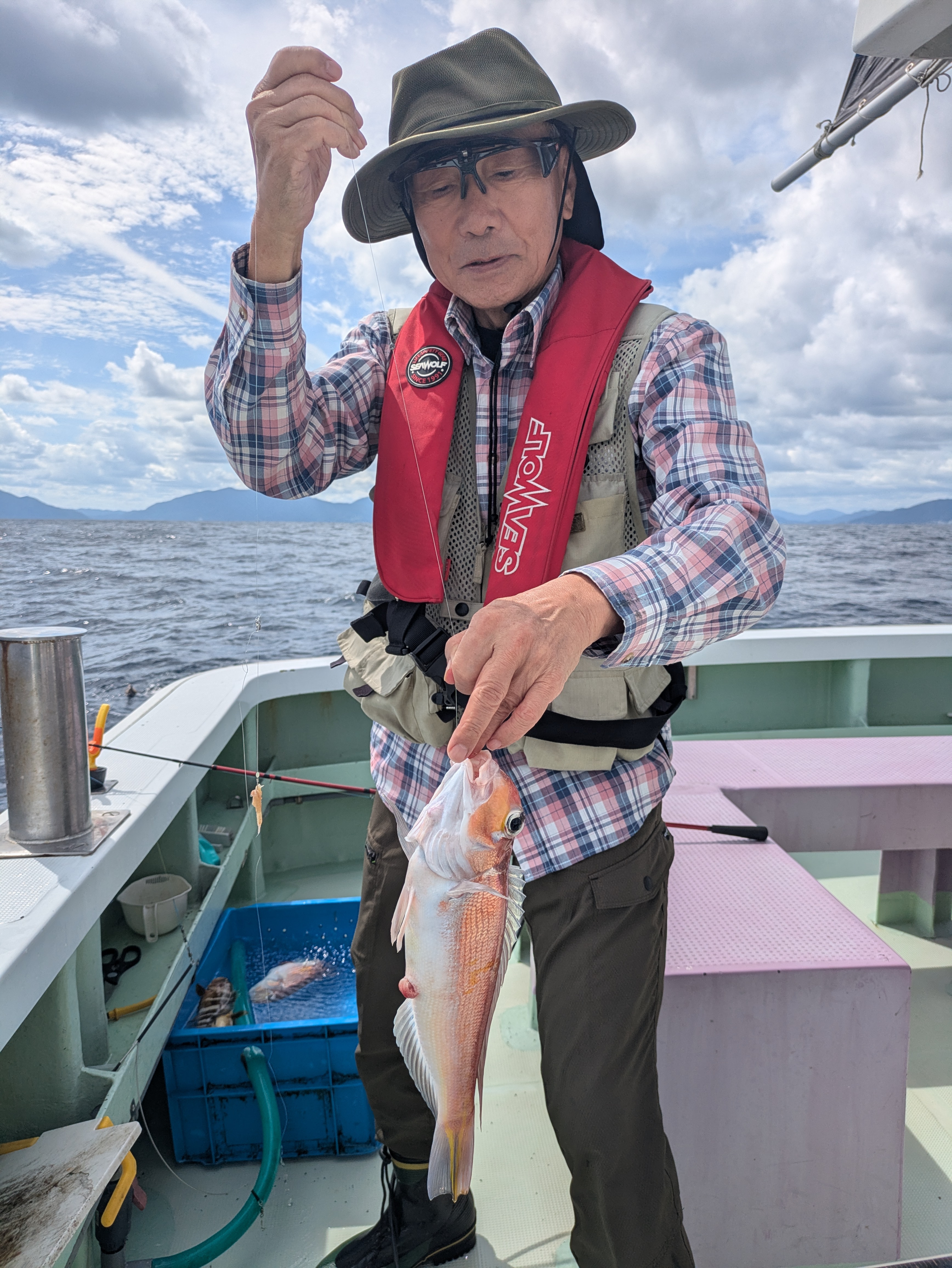 最新釣果情報