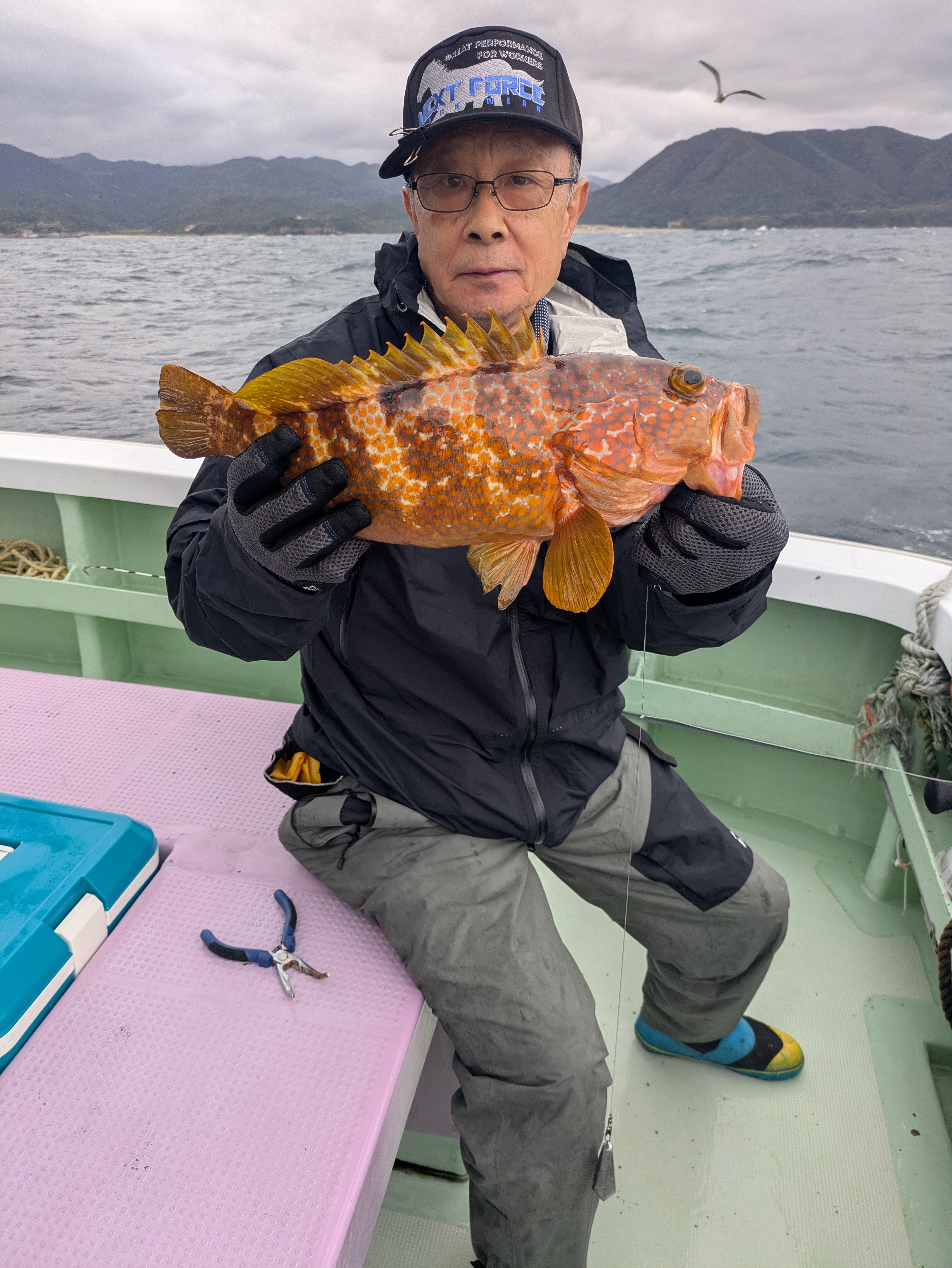 最新釣果情報