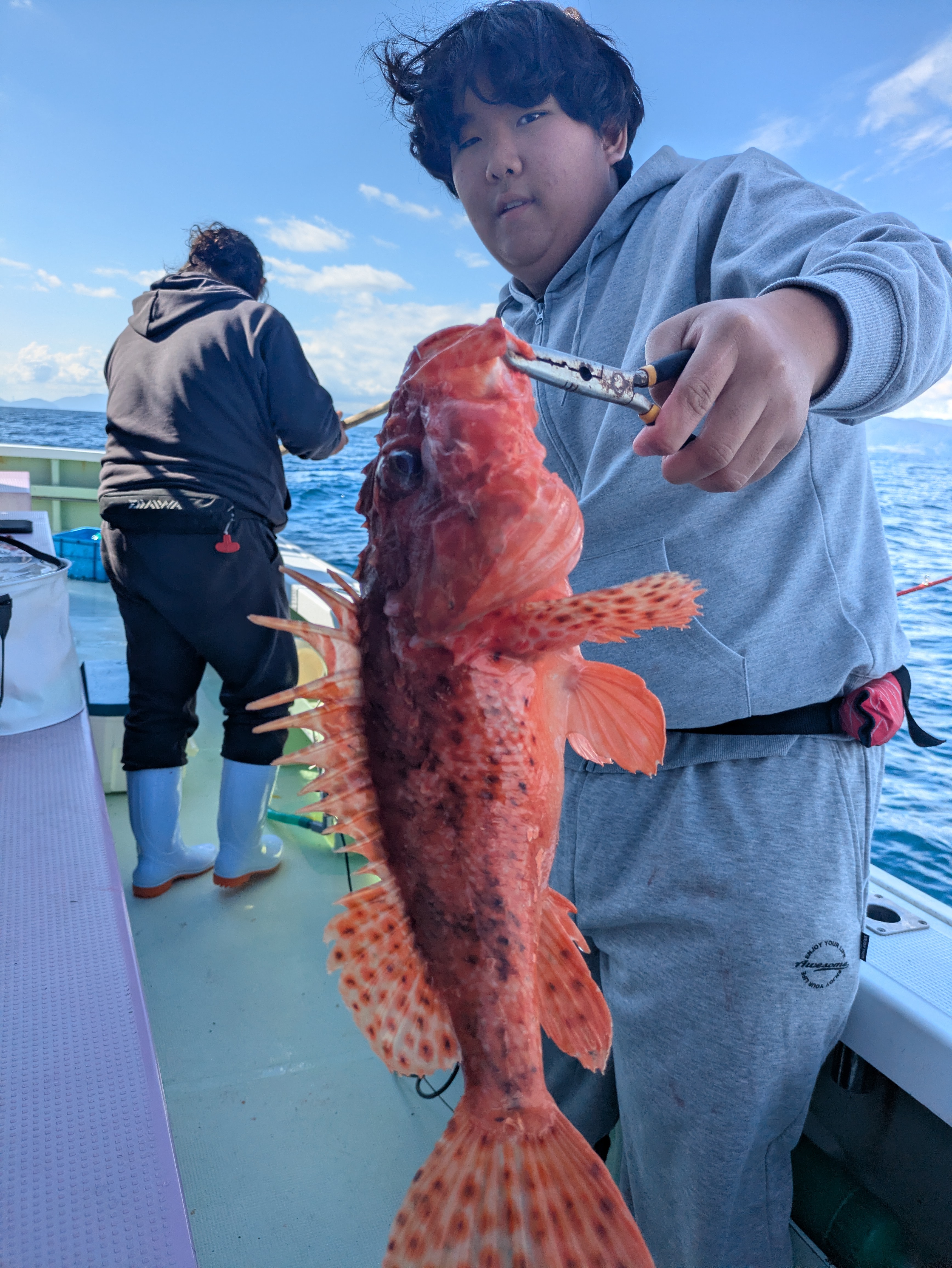 最新釣果情報