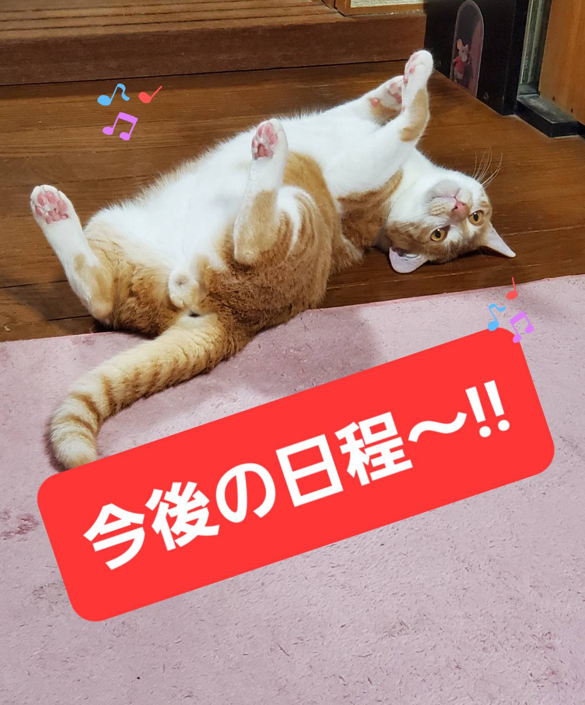 最新釣果情報