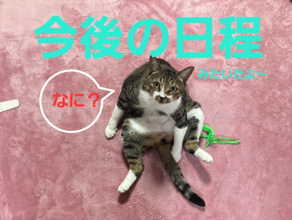 最新釣果情報