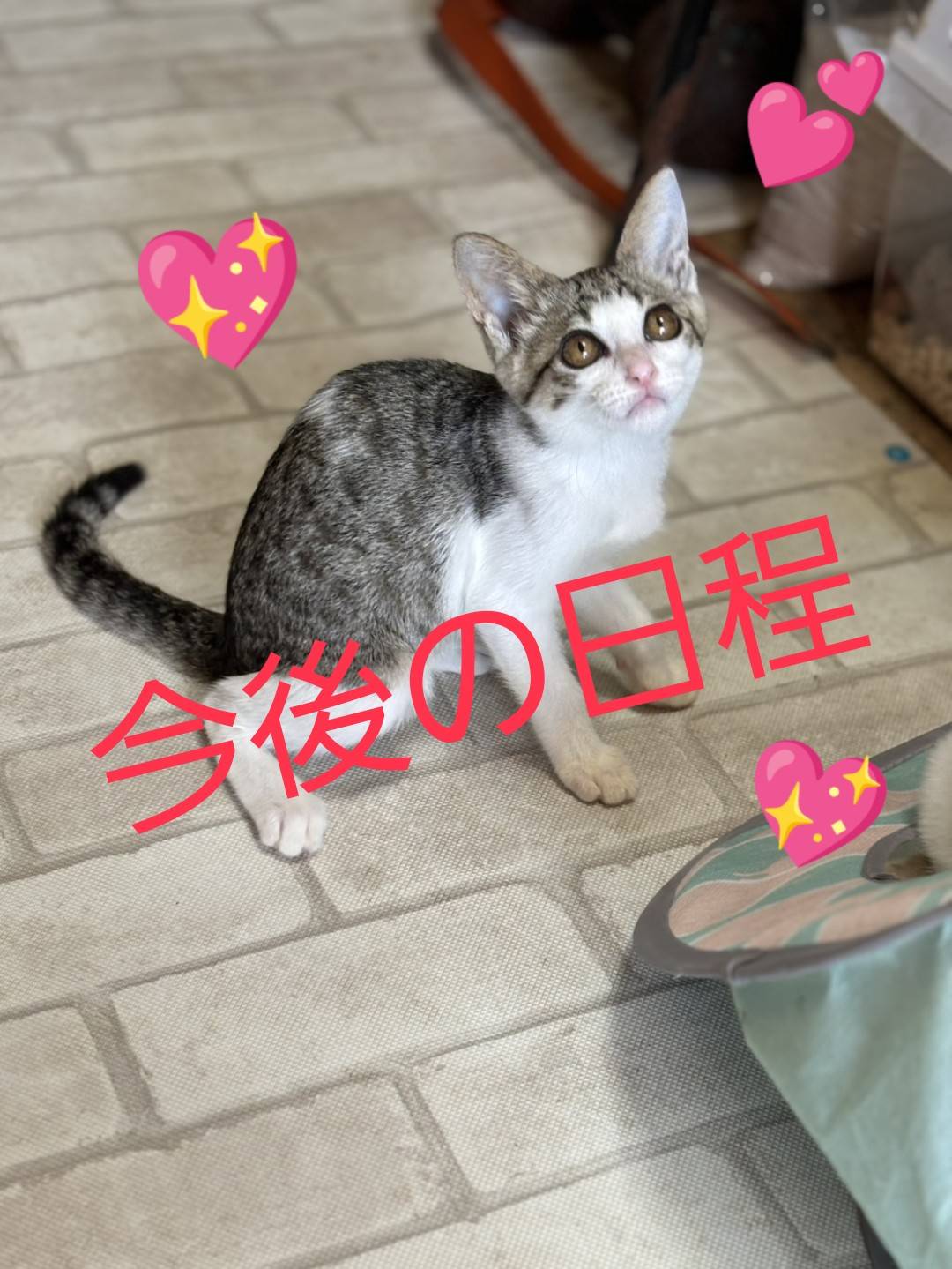 最新釣果情報