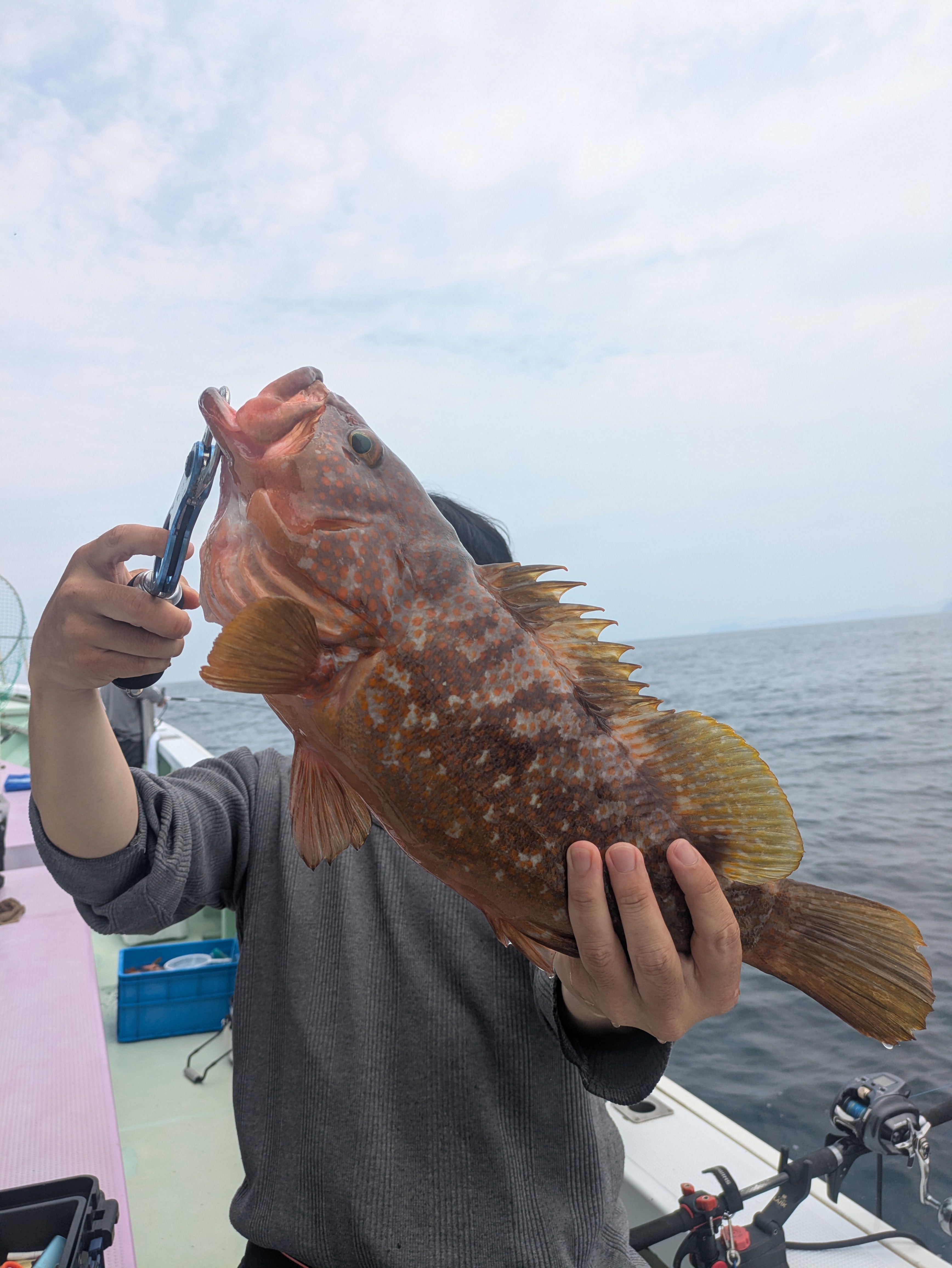最新釣果情報