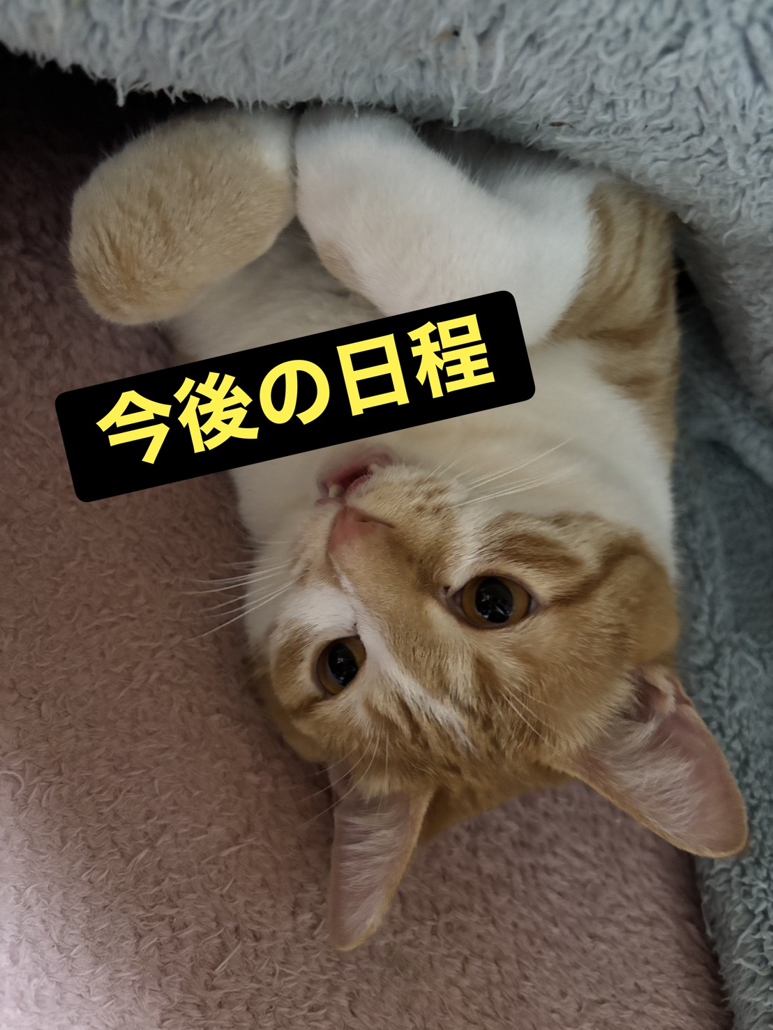 最新釣果情報